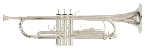 Trompeta Roy Benson TR-202S